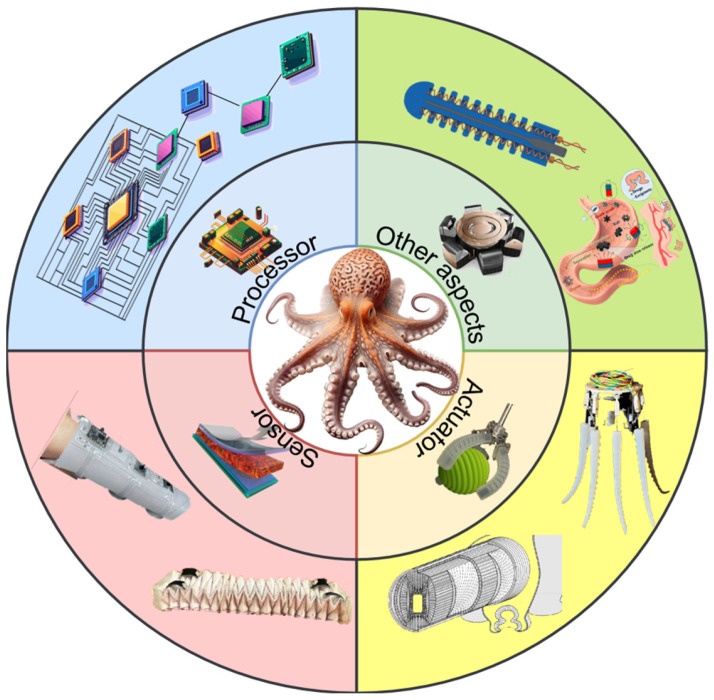 Щупальца, кожа и звук: новая анатомия роботов - 1 Щупальца, кожа и звук: новая анатомия роботов - 1
