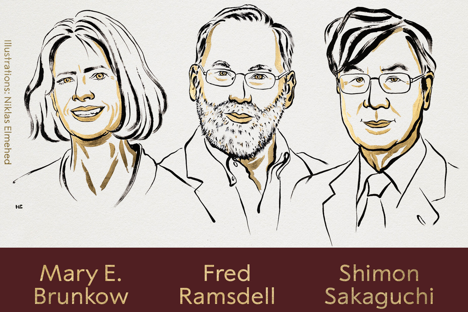 Иллюстрация Никласа Эльмехеда.  