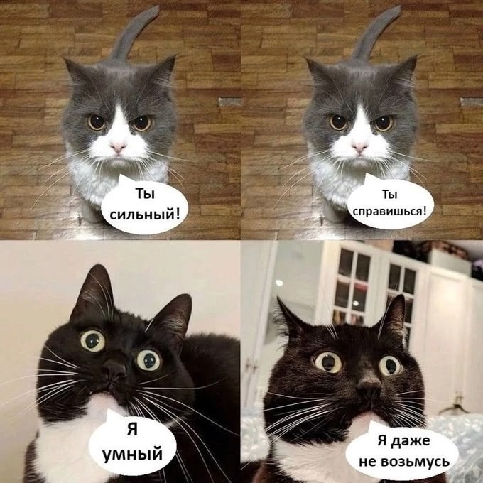 Подпись: Мем из четырёх кадров. На первом серо-белый кот уверенно смотрит на читателя мема и говорит: «Ты сильный!» На втором кадре он добавляет: «Ты справишься!» На третьем и четвёртом кадрах чёрно-белый кот отвечает: «Я умный. Я даже не возьмусь».