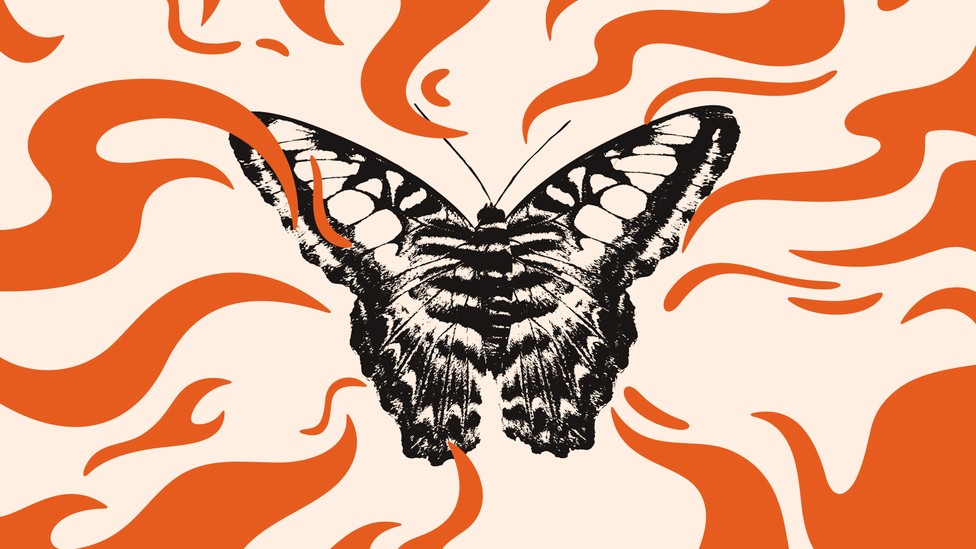 Машины помогают находить жизнь, которую люди не замечают - 1