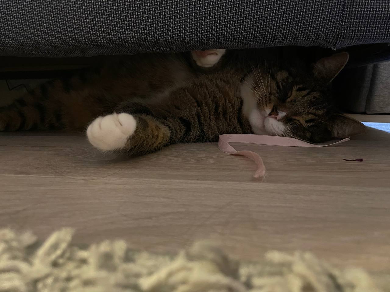 Стабилизирующий элемент отдыхает