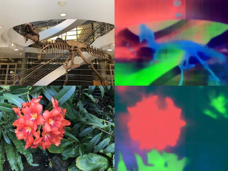 Это NeRF созданный из DINO - скорее для демонстрации представлений моделей о мире.