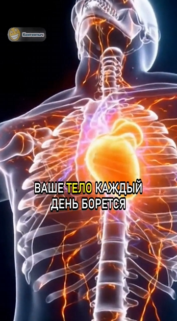 Автоматическая ферма видеоконтента на основе Sora 2 - 4