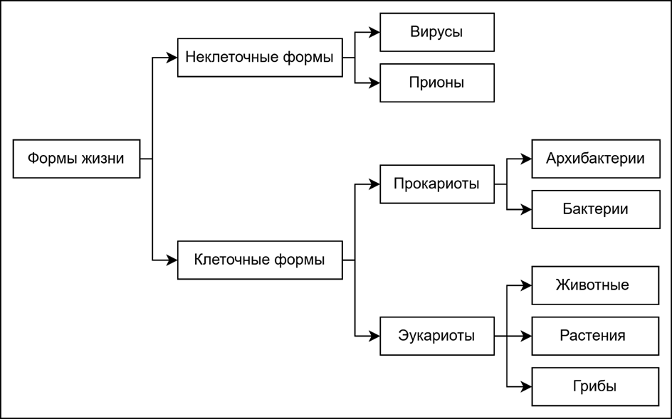 Рис. 1. Формы жизни