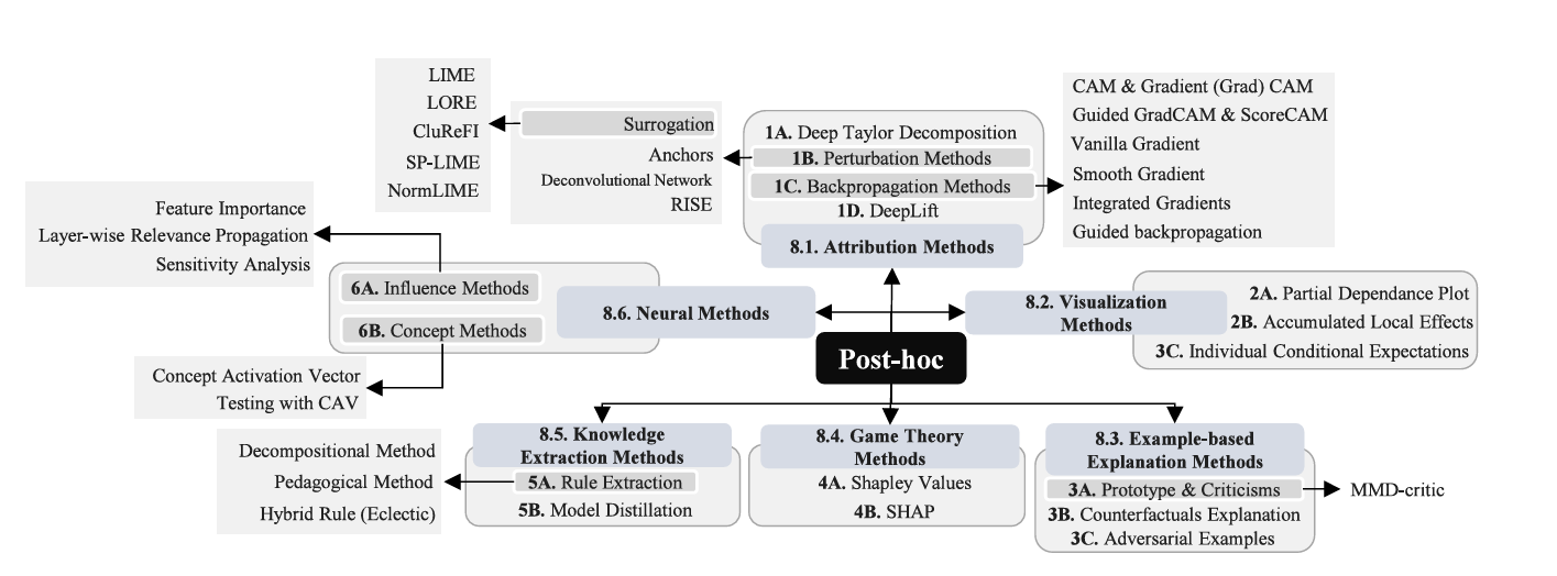 Классификация post-hoc методов. Источник изображения.