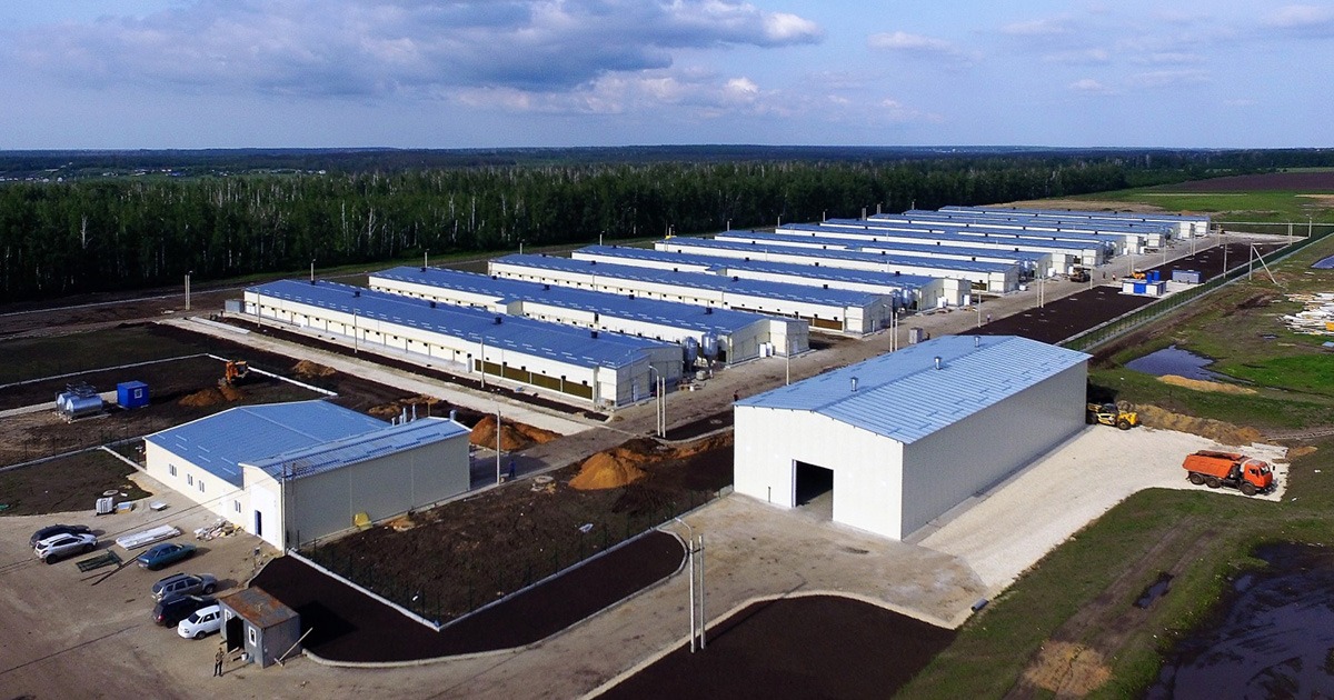 Средняя птицефабрика