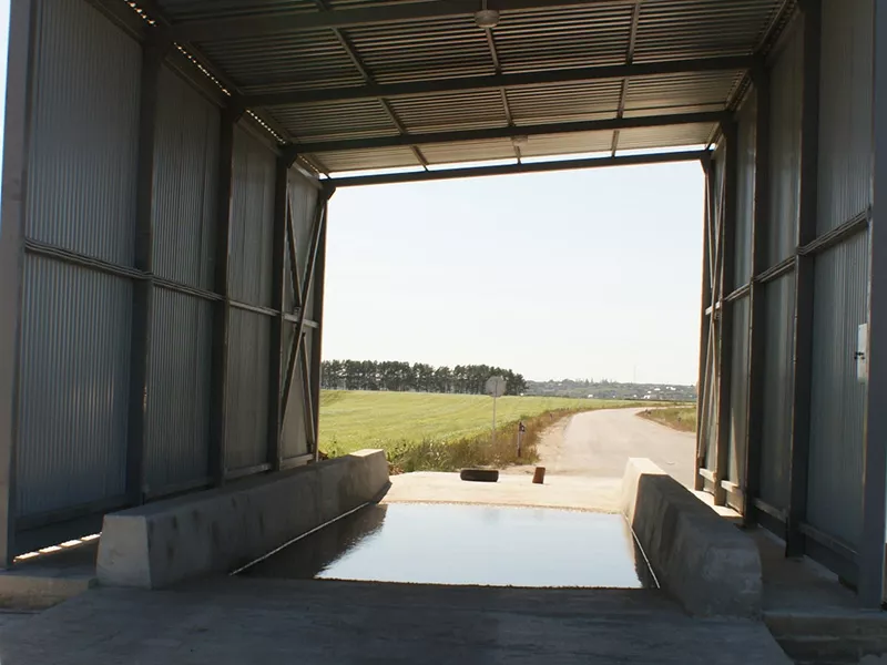 Лужа - дезбарьер