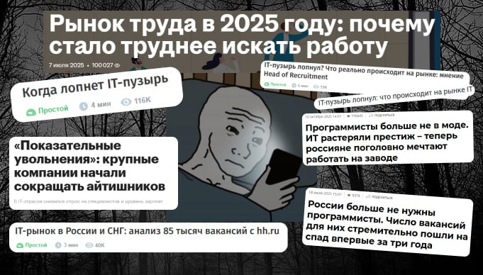 IT-сектор после перегрева: миф о «схлопнувшейся отрасли» и реальное состояние рынка - 2