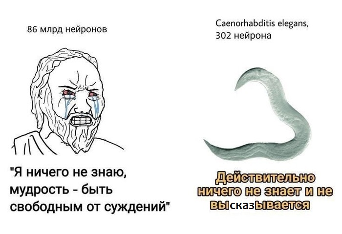 В сомнении нужно соблюдать меру