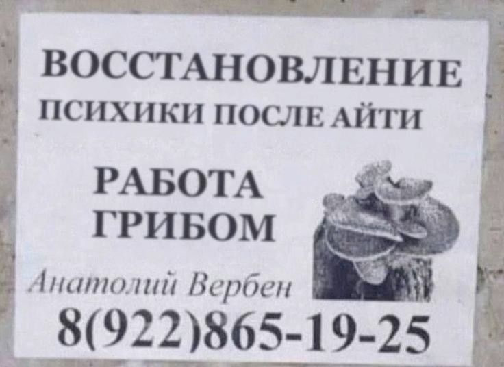 IT-сектор после перегрева, часть 2: наплыв нейросетей, бесконечные собеседования и конфликт интересов - 4