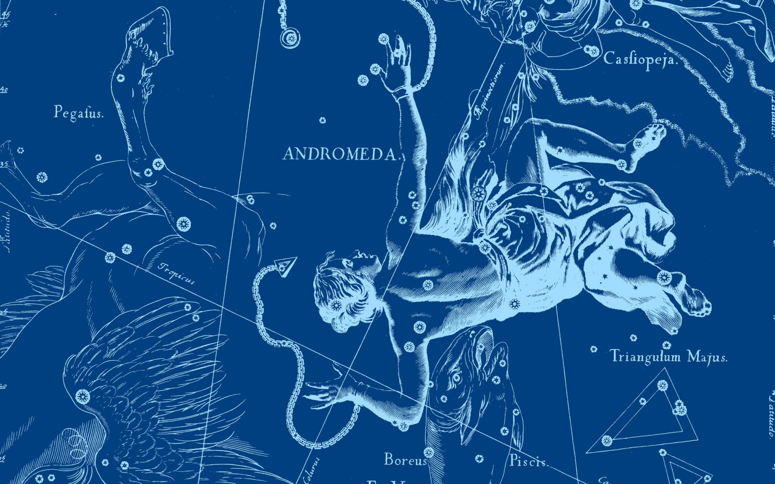 Созвездия. Каркас миров — небесного и земного - 7