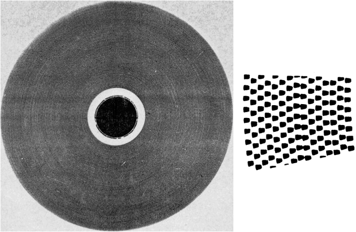 Диск фонограмм чистых тонов, вид звуковых дорожек в увеличении