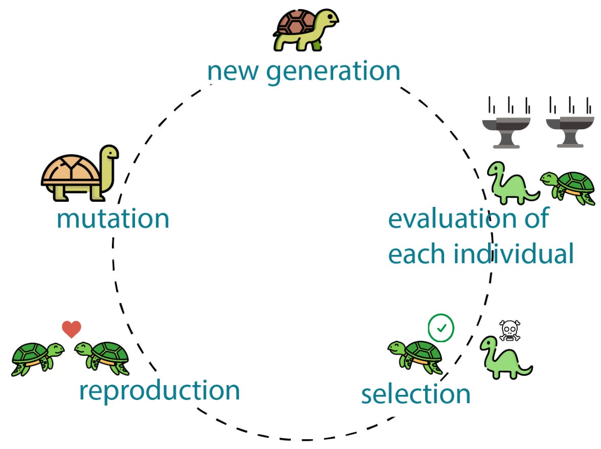 Эволюционный цикл. Источник: яндекс картинки