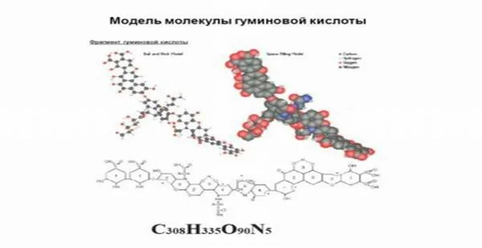 Рис. 3 Модель молекулы гуминовой кислоты