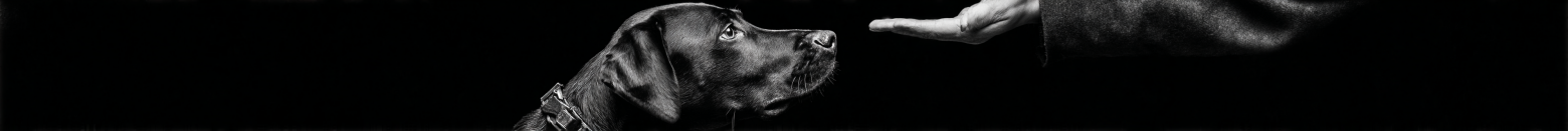 Как дозированные боль и страдание делают нас счастливее и успешнее? - 3