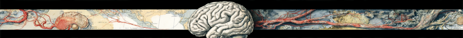 Как дозированные боль и страдание делают нас счастливее и успешнее? - 9