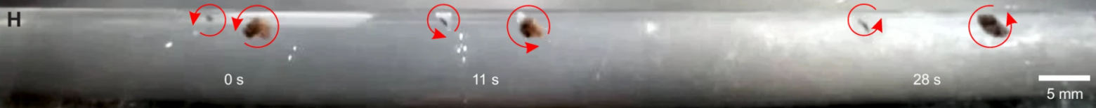 Спермоботы атакуют - 4