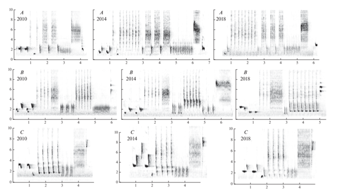 Межгодовая (2010–2018) изменчивость трех типов песен (А, B, C) восточного соловья. Все эти изменения происходили синхронно в трех изученных популяциях (город Москва, окрестности Звенигорода и Пущино-на-Оке). По вертикальным осям – частота, кГц; по горизонтальным осям – время, с.  