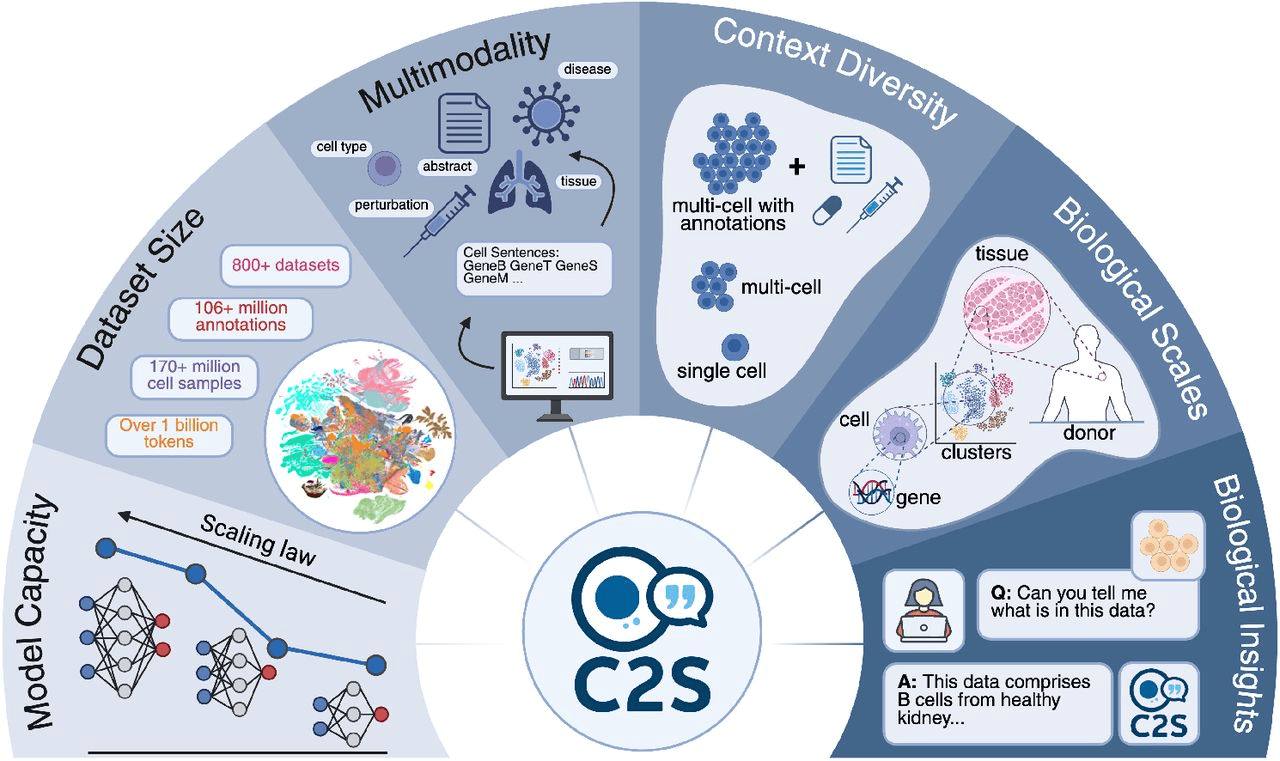 Источник изображения