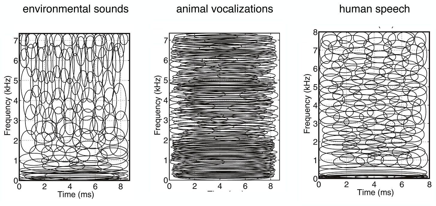 ICA звуков окружающей среды (треска кустарника, дождя и так далее) и человеческой речи (различных диалектов американского английского) привёл к созданию вейвлетов, а ICA голосов животных (млекопитающих, тропического леса) — к чему-то более похожему на преобразование Фурье.