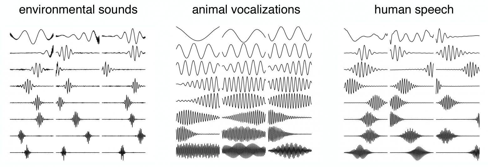 Примеры показанных выше фильтров
