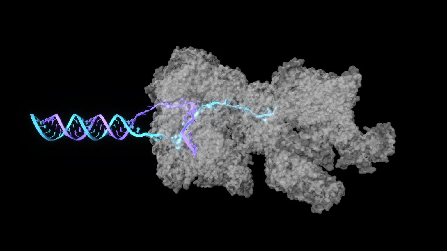 NVIDIA запустила микросервис для биомолекулярных исследований - 1