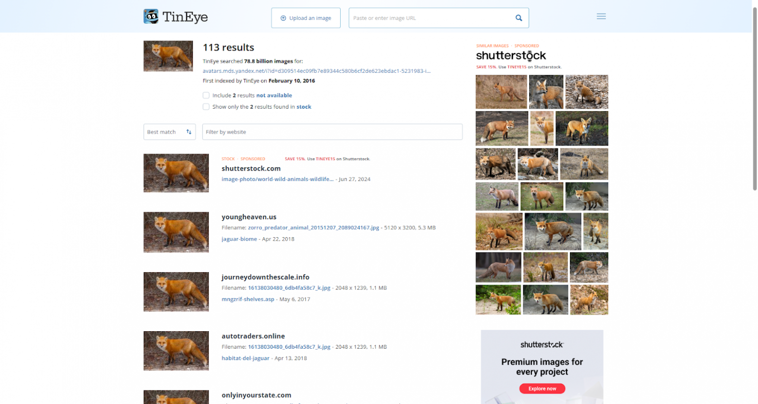 ИИ-расширения для браузеров: лучшие плагины для Chrome и Edge в 2025 году - 4