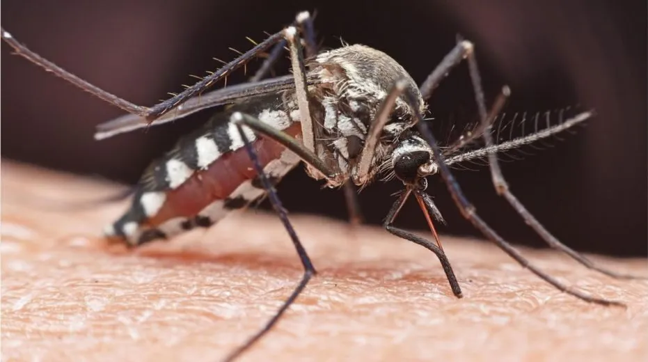 Придумываем игру на примере русского Fallout; ч. 2-2 - 18