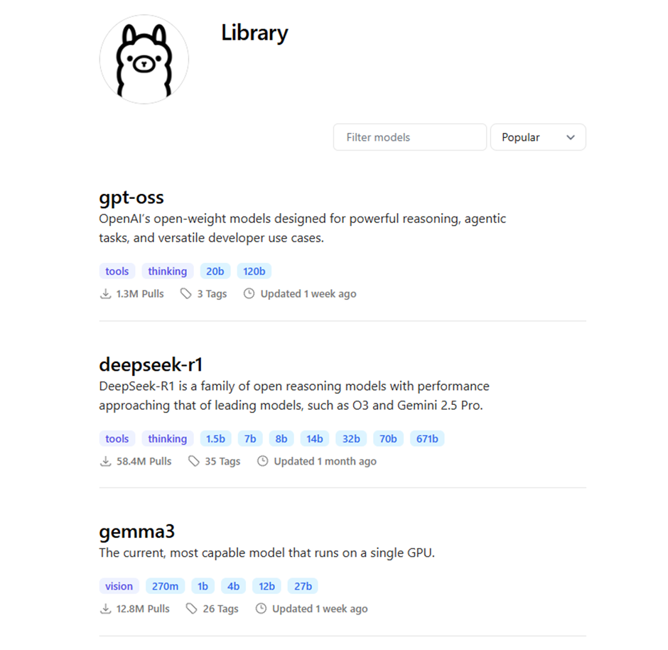 Как я запустил локальную LLM на Raspberry Pi 5 - 2