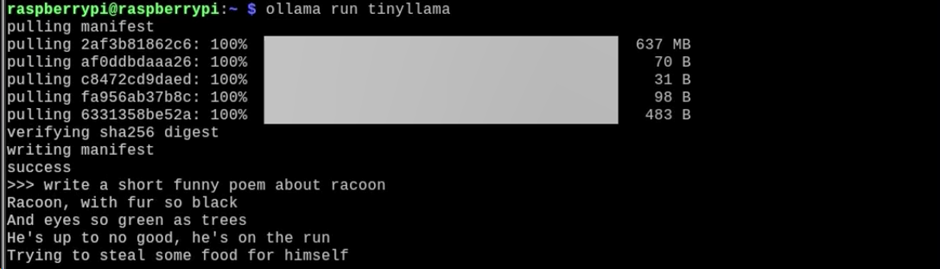 Как я запустил локальную LLM на Raspberry Pi 5 - 3