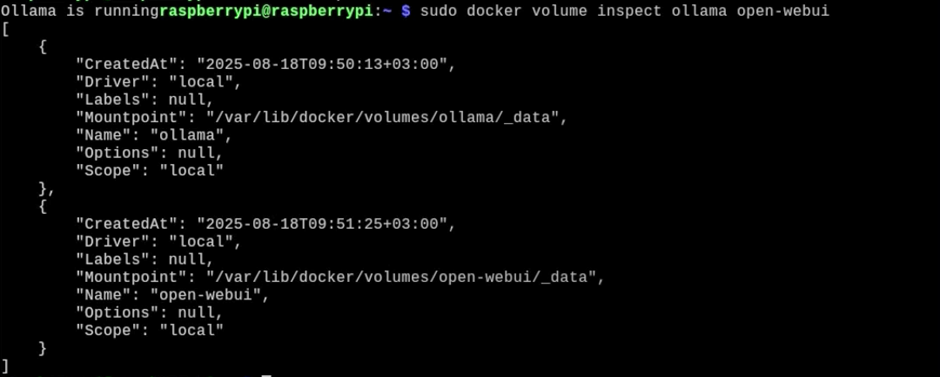 Как я запустил локальную LLM на Raspberry Pi 5 - 8