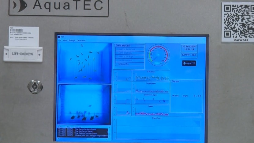 Если в кране нет воды… значит сработали моллюски - 5