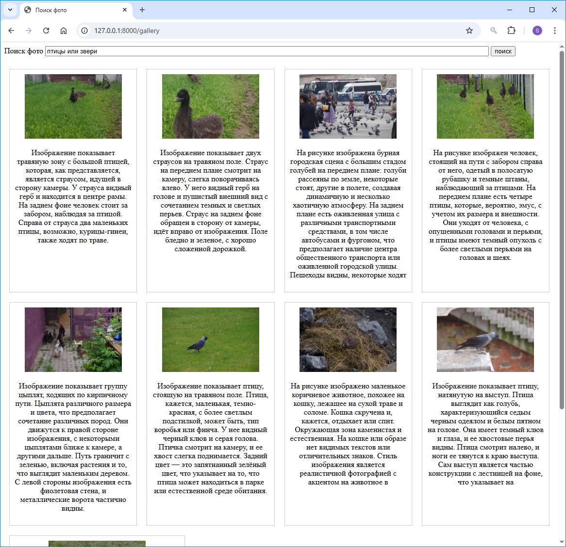 Поиск по фразе "птицы или звери"
