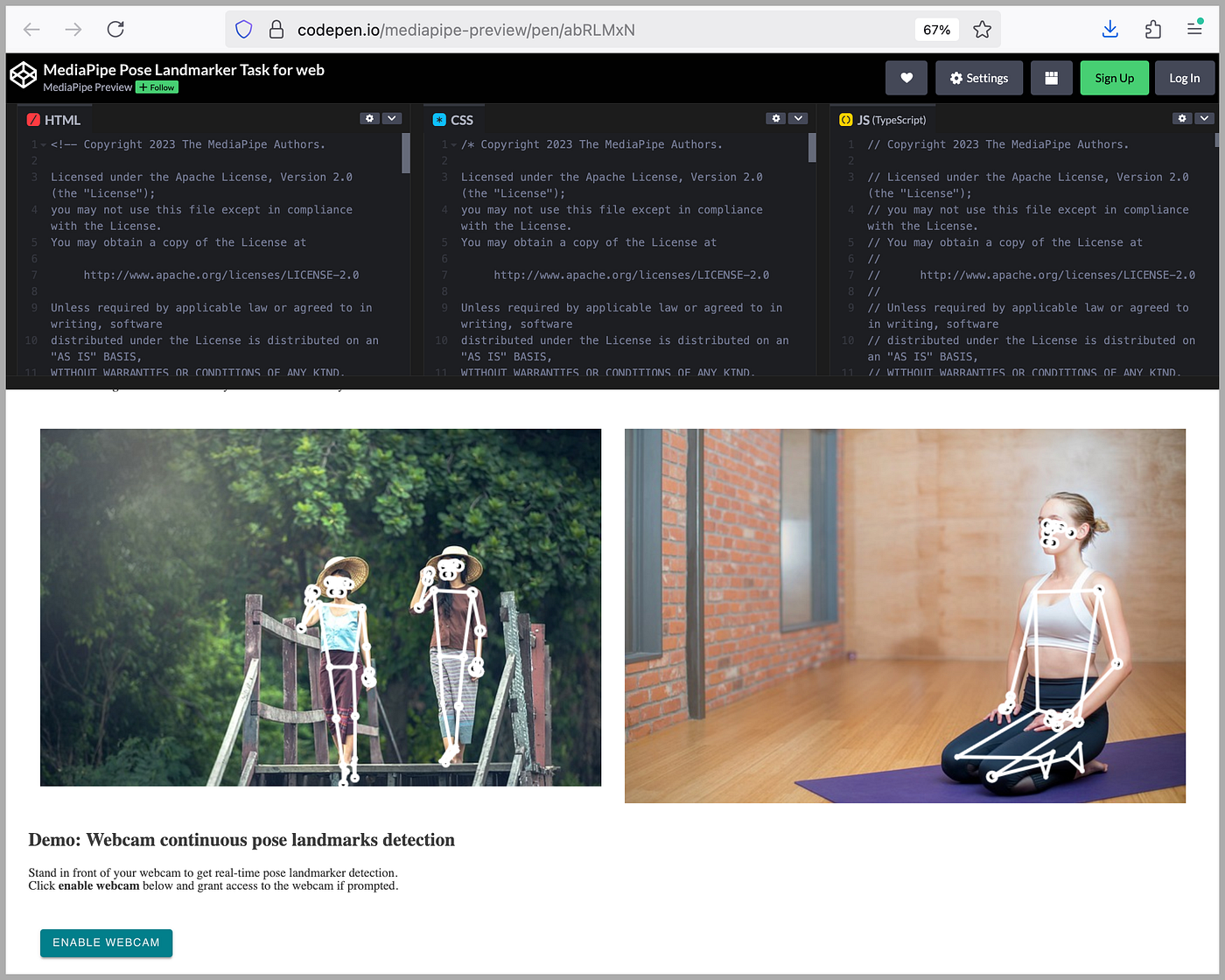 Распознаём позу человека во Flutter Web с MediaPipe - 3 Распознаём позу человека во Flutter Web с MediaPipe - 3