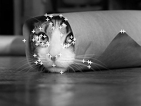 FAST keypoints detection