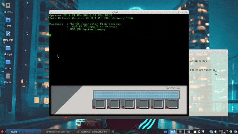 Заводной абрикос - 31