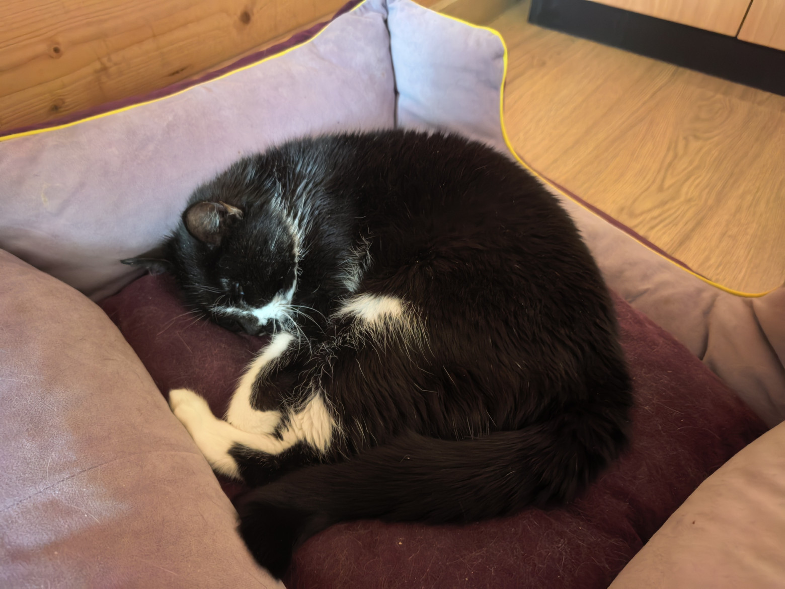 "Все лапы исколол со своими графиками"