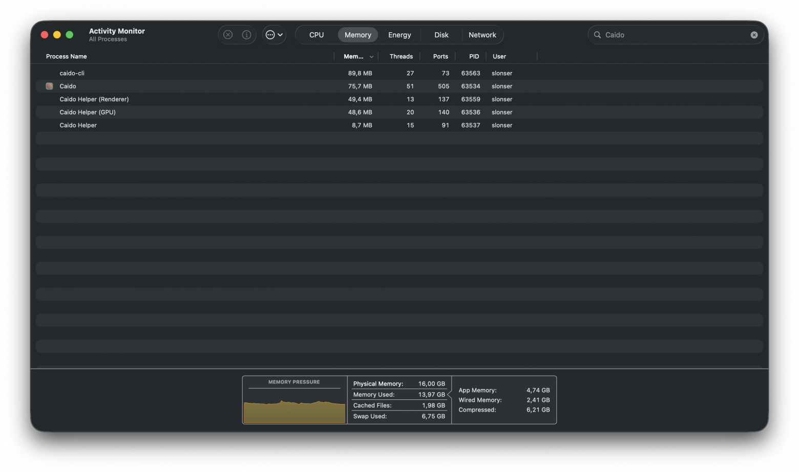 Потребление памяти Caido