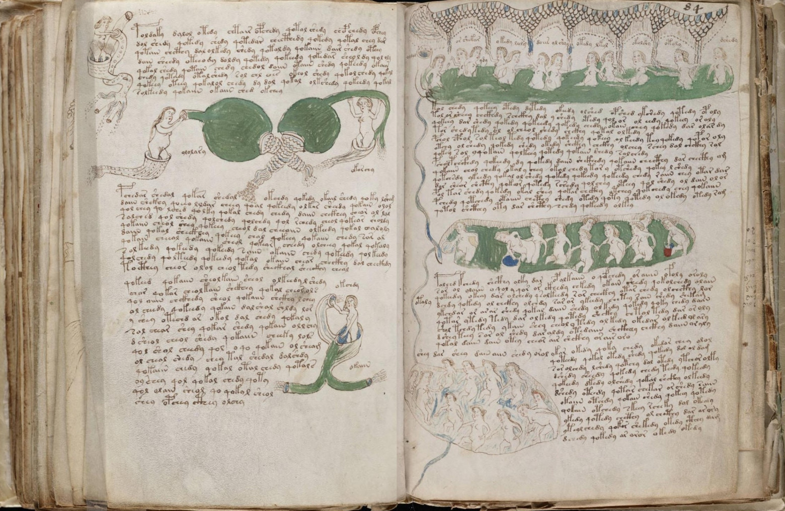 Фрагмент рукописи Войнича