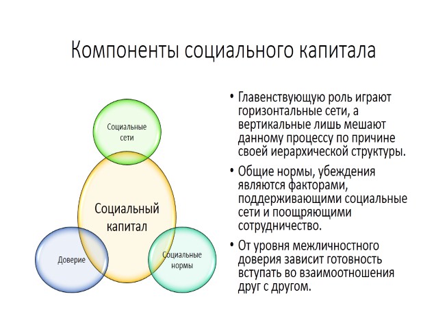 Из чего состоит социальный капитал