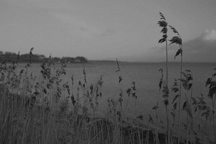 Конвейеры формирования изображений. Часть 1: Регистрация света и дебайеринг - 6