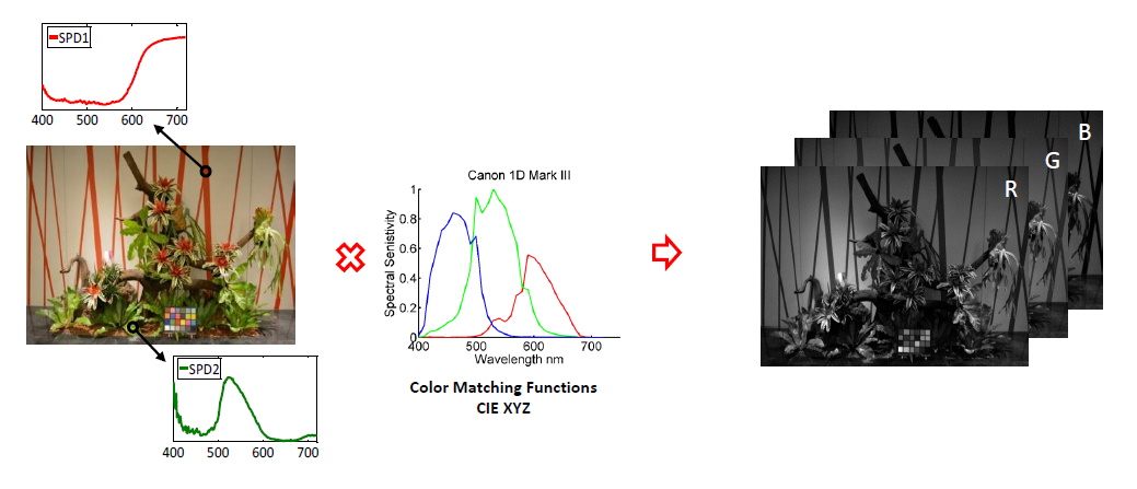 M. Brown — Understanding color and your camera. London Imaging Meeting. 2020