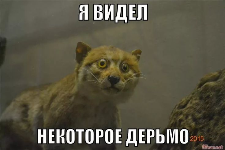 Мечтают ли ИИ-агенты об удобных IDE? - 5 Мечтают ли ИИ-агенты об удобных IDE? - 5