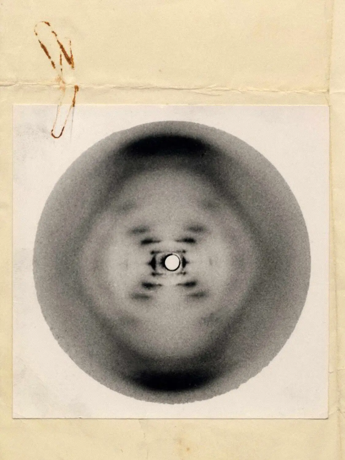  Рентгеновская кристаллография, проведённая Розалинд Франклин в 1952 году, которая помогла Джеймсу Уотсону и Фрэнсису Крику в открытии структуры ДНК