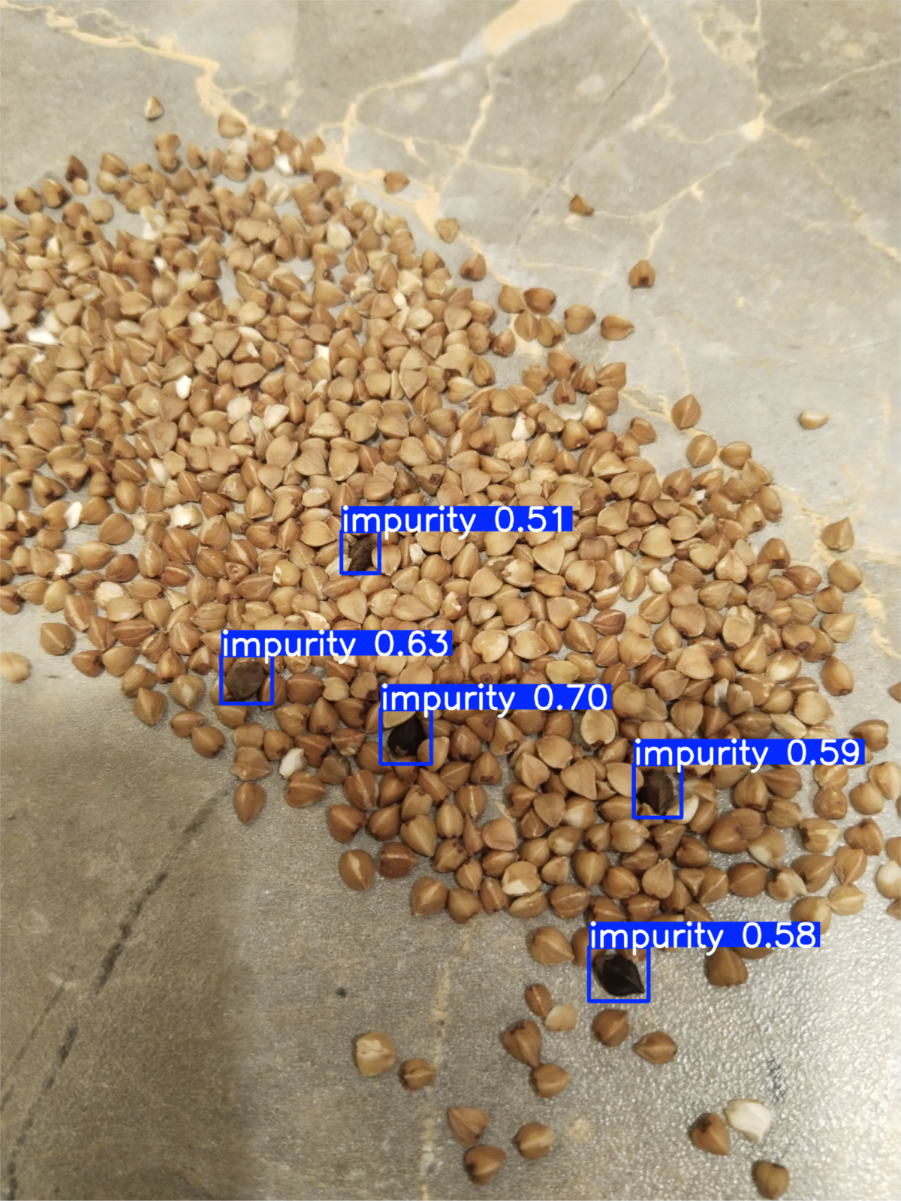 Рис. 2: Детекция примесей в гречке.
