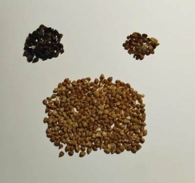 Рис. 1: Гречка с примесями.