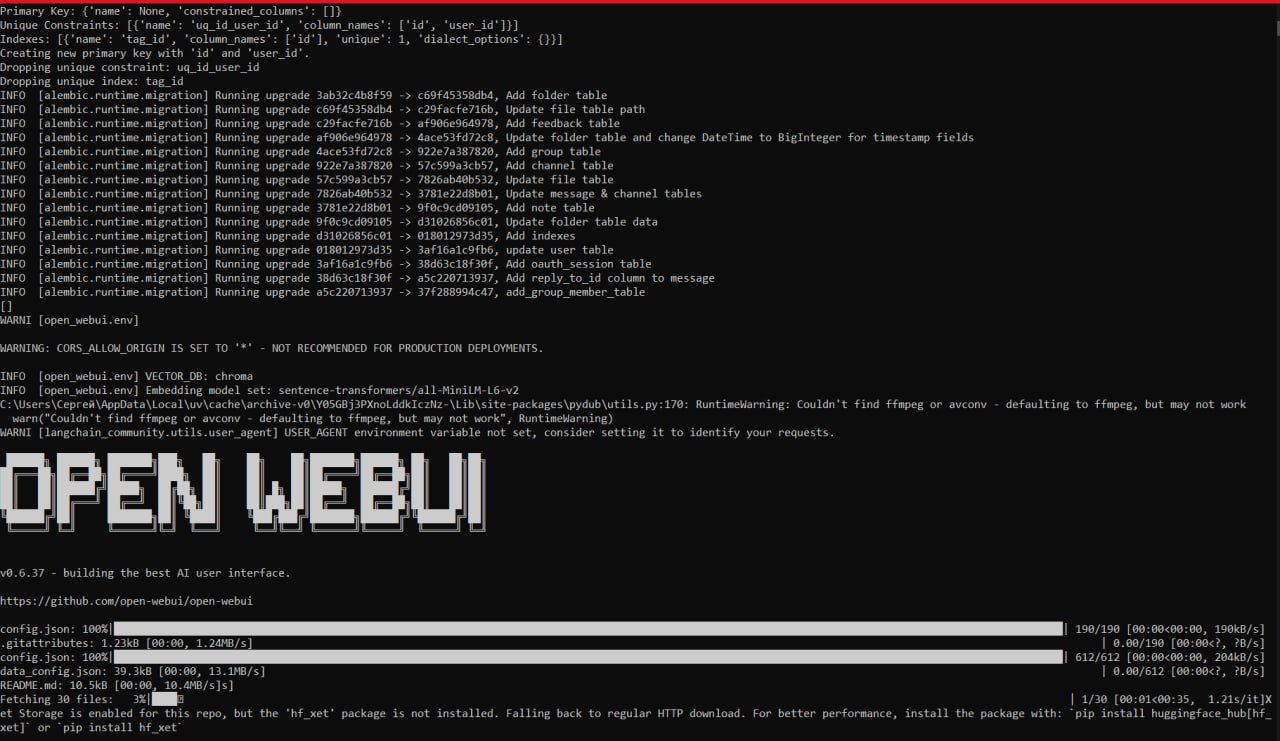 Open WebUI и BotHub: полный контроль и кастомизация вашего AI-интерфейса - 3