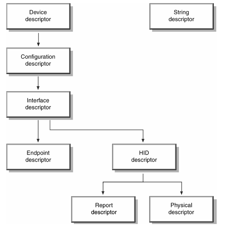 Рис. 11. Дерево дескрипторов для HID устройства.