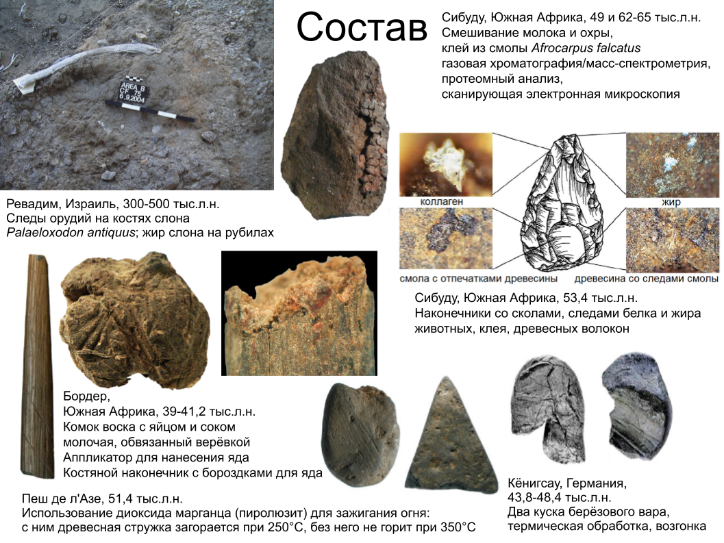 Зубной камень, ДНК вшей и чешуйка крыла моли: как технологии помогают антропологии. Спойлер: ИИ тут бессилен - 10