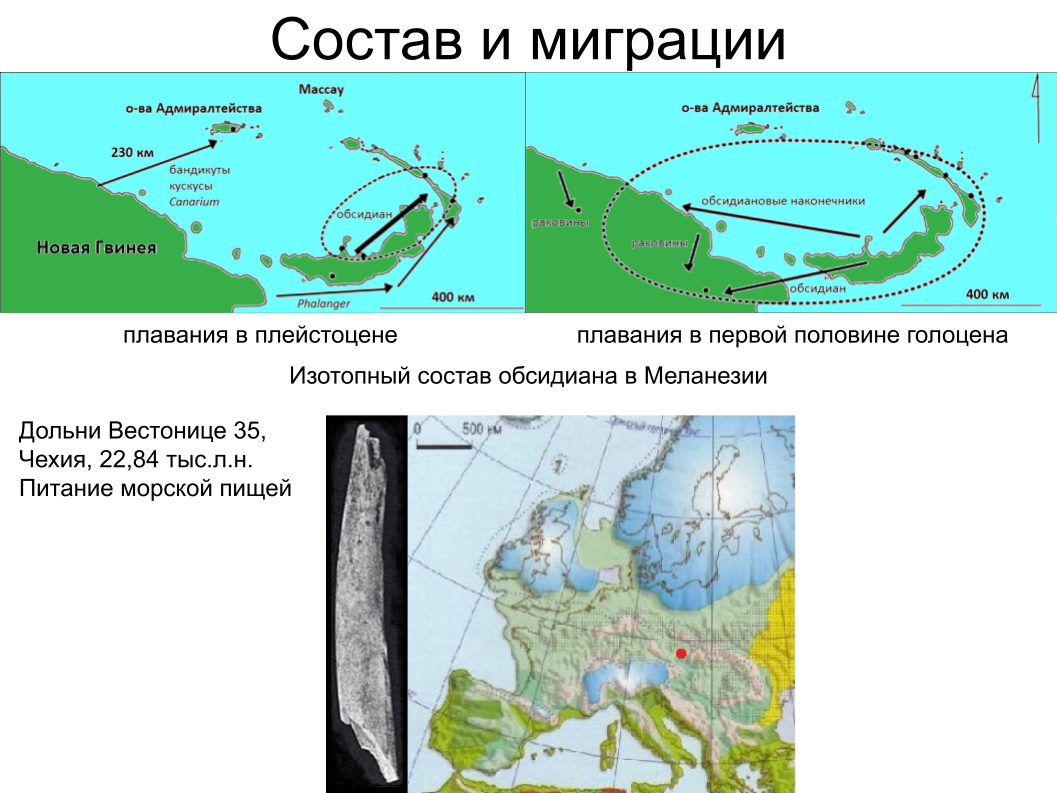 Зубной камень, ДНК вшей и чешуйка крыла моли: как технологии помогают антропологии. Спойлер: ИИ тут бессилен - 11